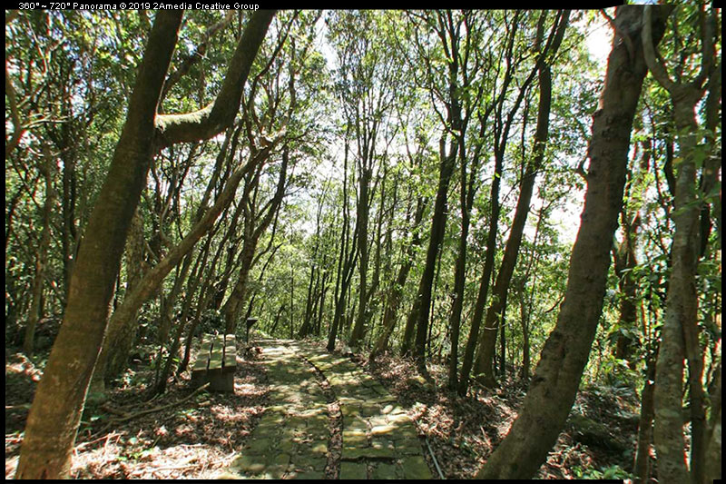陽明山櫻花溫泉渡假村720°全景
